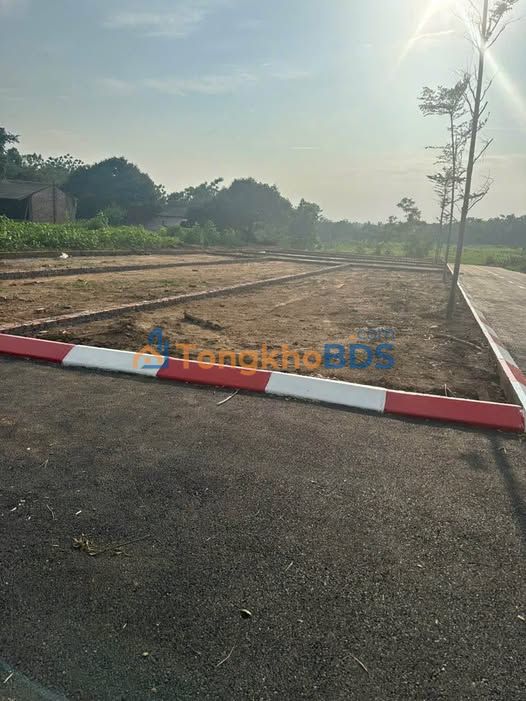 Đất thổ cư 100m² mặt tiền 6.3m - Trục chính Tân Thành, Đồng Nai - 1 tỷ