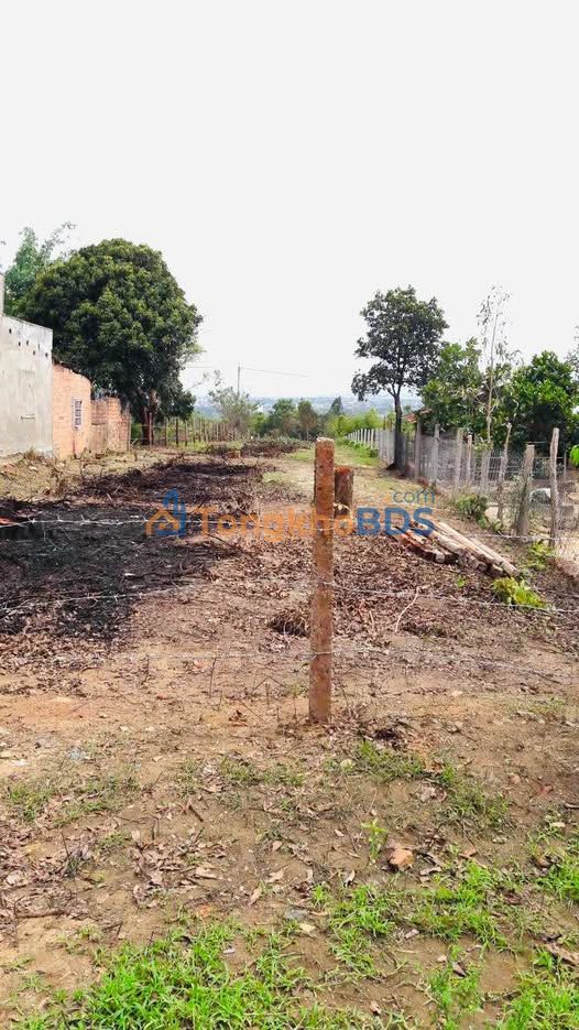 Bán Gấp 2 Lô Đất Vàng 1100m² Đường 671, Kon Tum - Sổ Đỏ Riêng Từng Lô