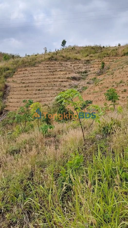 Đất nền Kon Rẫy Kon Tum 3ha 1,2 tỷ - Sổ đỏ chính chủ