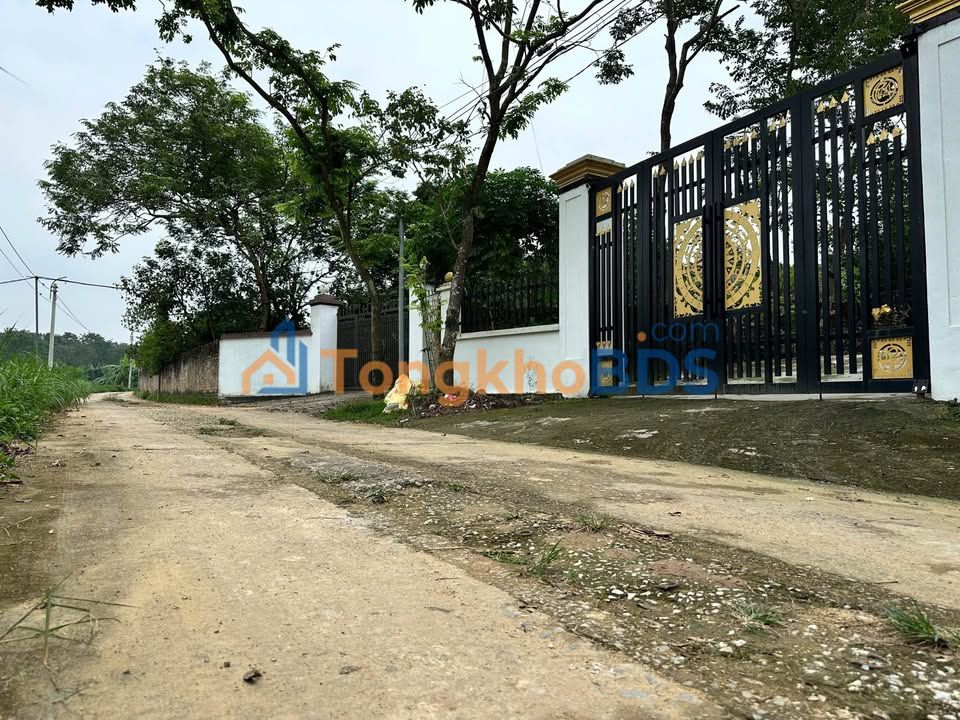 Đất Hoàng Hoa Tam Dương 600-699 triệu Sổ đỏ chính chủ