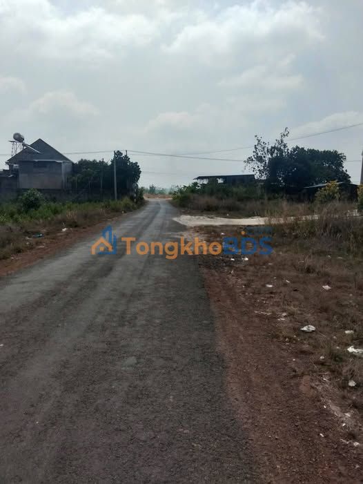 Bán Gấp Đất Thổ Cư 2000m² Đường D90 Đồng Xoài - Sổ Hồng Sẵn Sàng