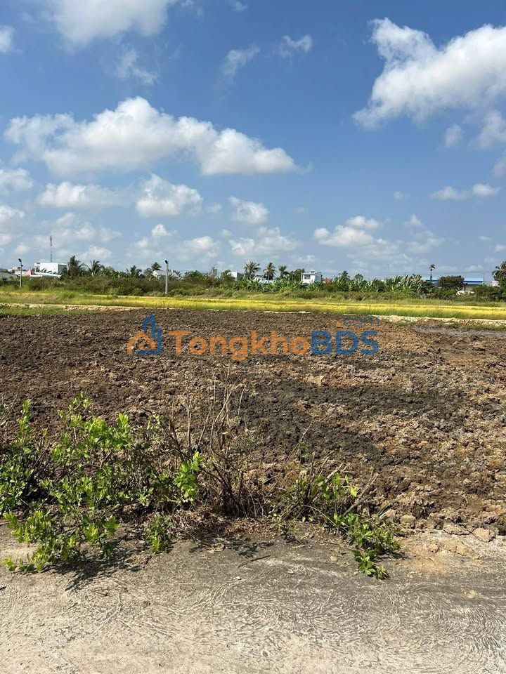 Đất nền Long Sơn 180m² 295 triệu - Sổ đỏ chính chủ