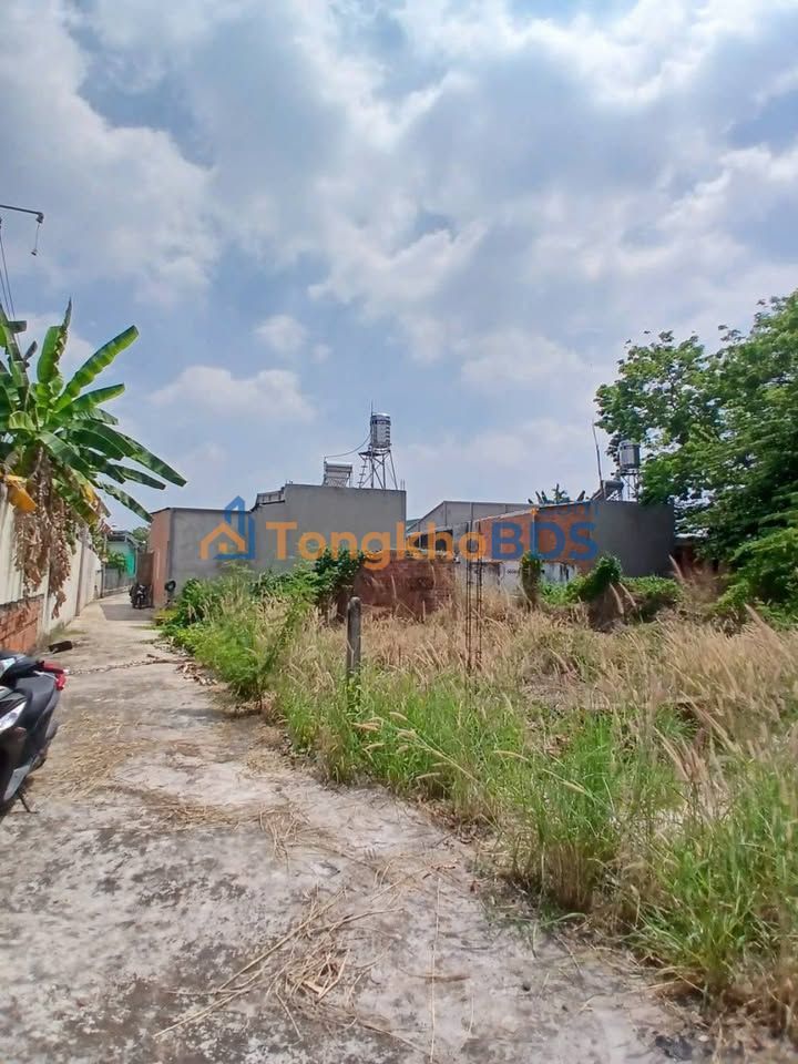 Đất Phường 3 Tây Ninh 5x20 giá 999 triệu - Xây dựng tự do