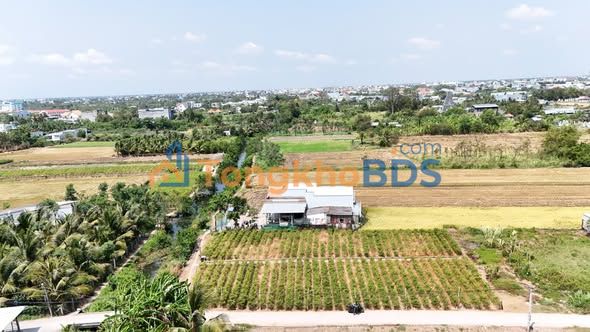 Đất nền Gò Tre Long Thuận 1344m² 2 tỷ - Tiềm năng tăng giá