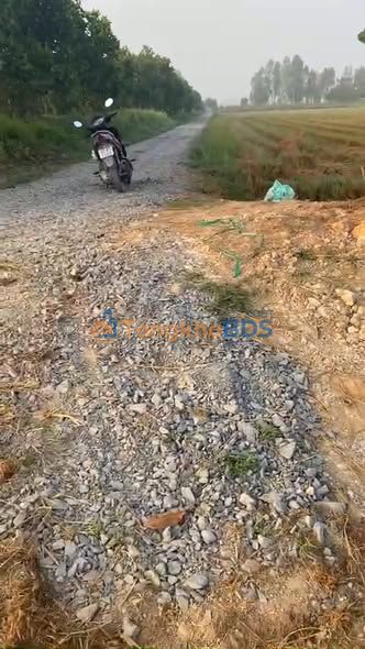 Đất vườn Ấp 4 Tân Hiệp 70.000m² 6.65 tỷ - Sinh thái xanh