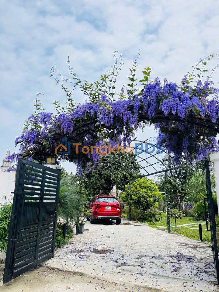 Đất nền Thị trấn Quốc Oai 1000m2 0.3 tỷ - Sổ đỏ chính chủ