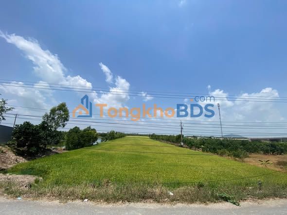 Đất nền Kinh 9 Vĩnh Tế 32.000m² 8,96 tỷ - Sổ đỏ chính chủ