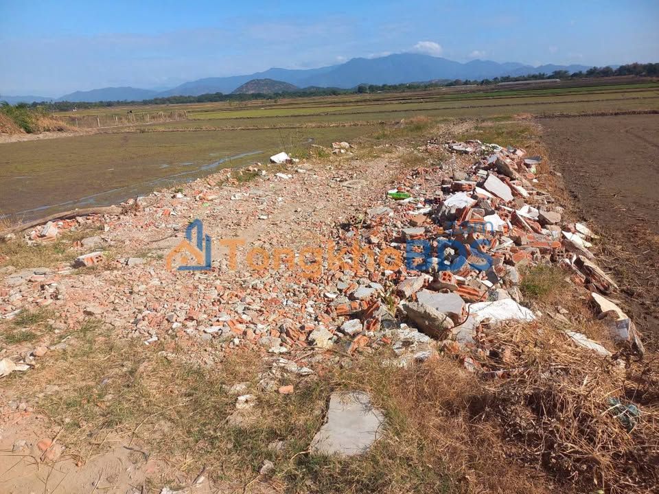 Đất nền Đô Vinh 250m² 350 triệu - Đường ô tô vào đất