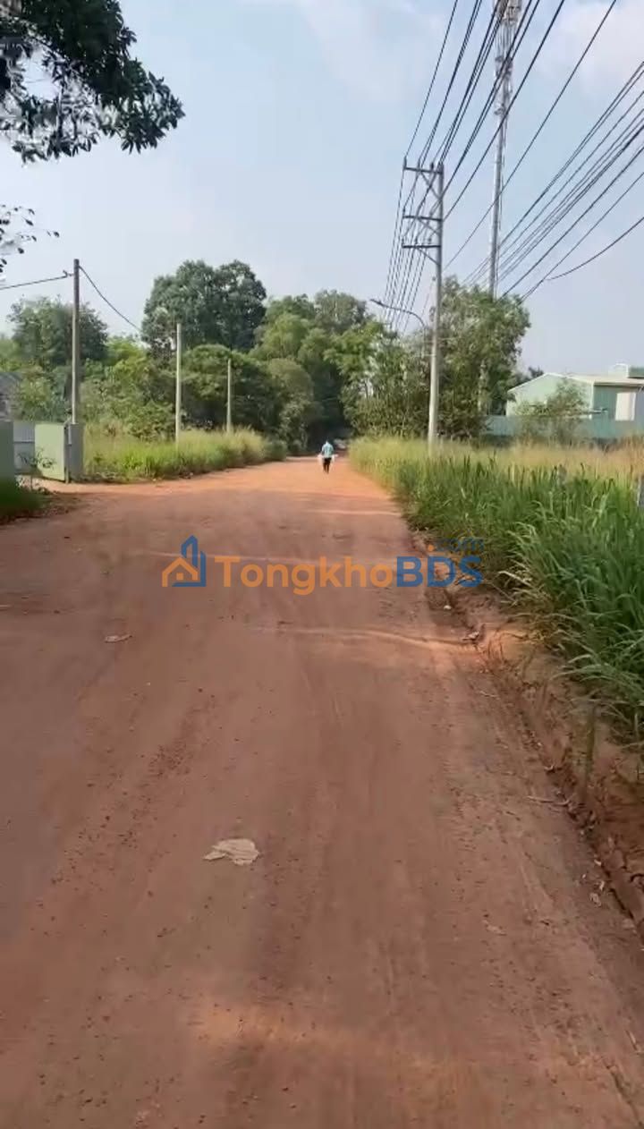 Đất Vàng Bến Cát - 500m² Mặt Tiền Đường Kho Lúa, An Tây - Giá Tốt Đầu Tư