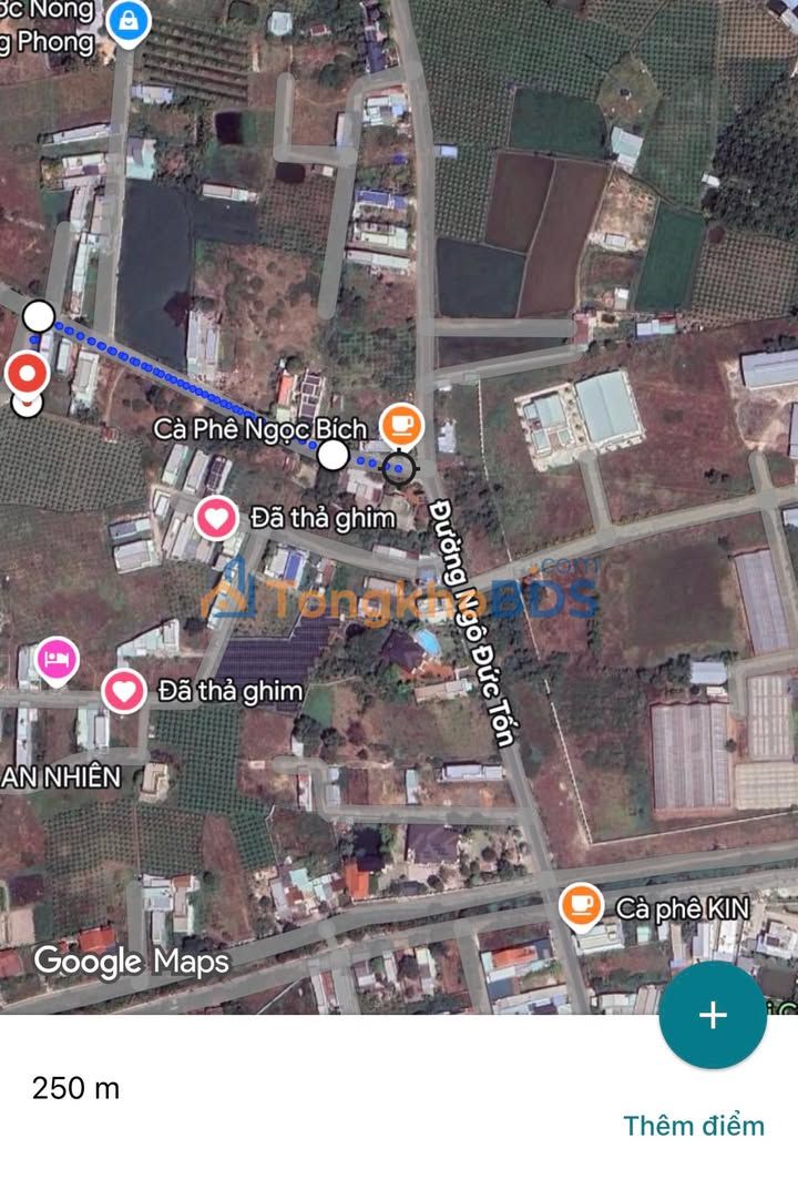 Đất nền Phan Thiết 134m2 990 triệu - Sổ đỏ chính chủ