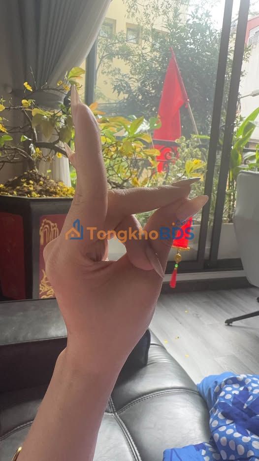 Bán gấp nhà liền kề 42m² Hồ Tùng Mậu, ô tô tránh - Dòng tiền cho thuê