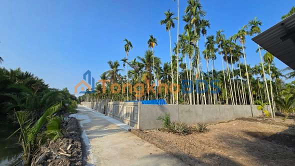 Đất Vườn 1000m² An Giang - Lộ Ô Tô Tới Đất, Giá 920 Triệu