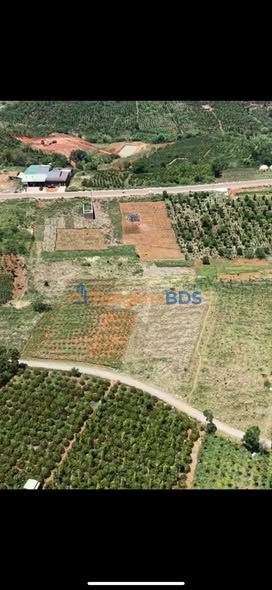 Đất rẫy Đắk Song 9.500m² giá 3 tỷ - Sổ đỏ chính chủ