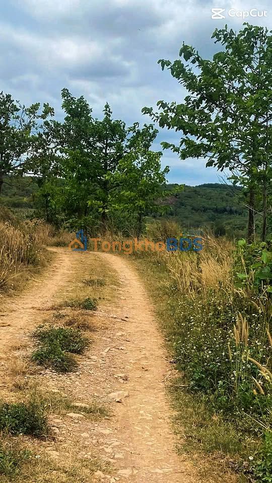 Đất nền Đăk Gằn Đăk Mil 1.000m² - Sổ đỏ chính chủ