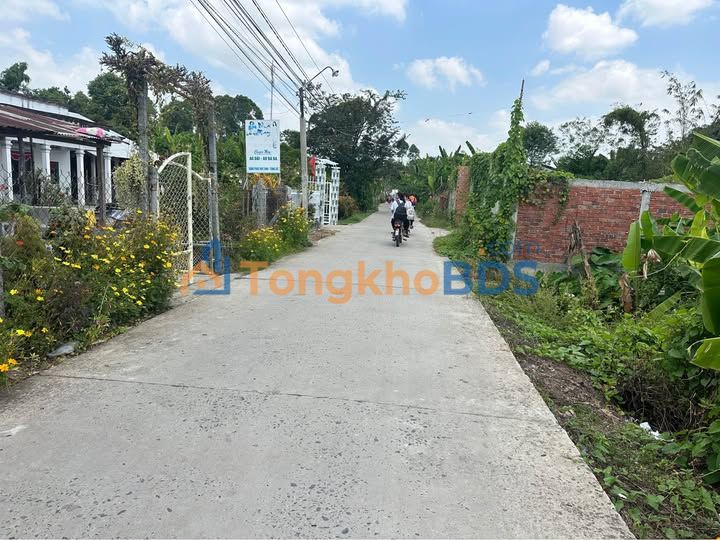 Bán Đất CLN Lấp Vò 7653m² - Sổ Đỏ Rõ Ràng, Giá Đầu Tư Tốt