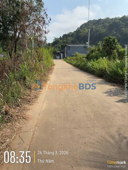 Đất Nền Phú Xuân Tân Phú 4500m² - Mặt Tiền Rộng 30.9m, Giá Chỉ 1.3 Tỷ