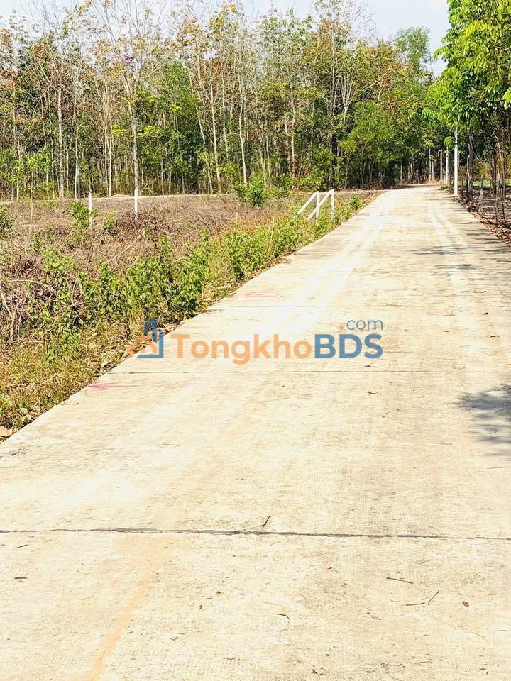 Đất nền thổ cư 500m² mặt tiền đường bê tông Nhánh DH01, Chơn Thành - Giá ngợp chỉ 5xx triệu