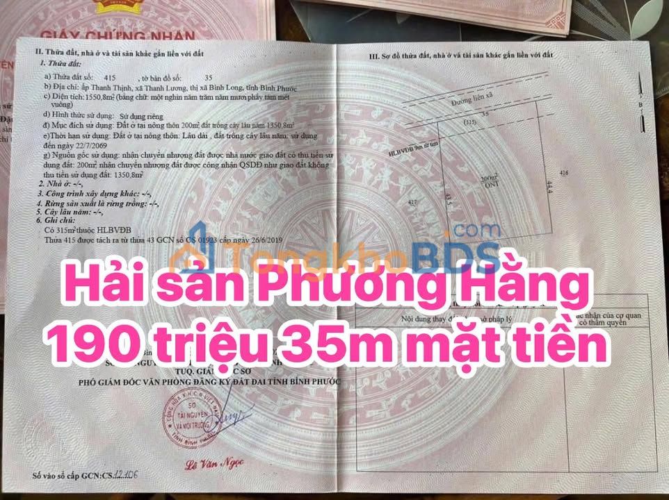 Đất Nền 1550m² Ngay Chợ Thanh Lương, Bình Phước - Giá 190 Triệu