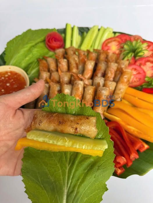 Đất thổ cư Đô Vinh 198m² 750 triệu - Tiềm năng tăng giá