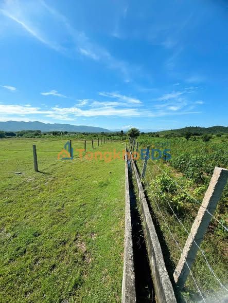 Đất Phước Thắng Bác Ái 3.132m² 750 triệu - Sổ đỏ chính chủ