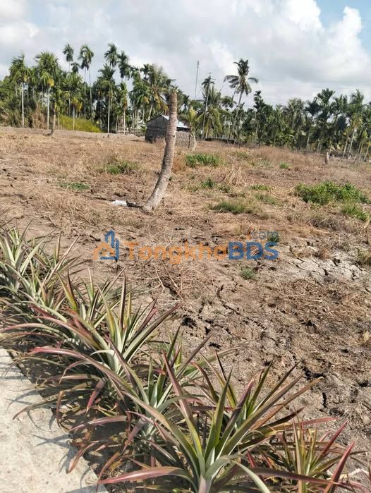 Đất nền Minh Hòa 150m² 2xx triệu - Đất thổ cư 100%