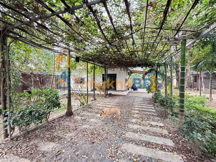 Nhà Vườn Nghỉ Dưỡng 700m² Sài Sơn, Quốc Oai - Sẵn Sàng Đón Bạn Về Dinh