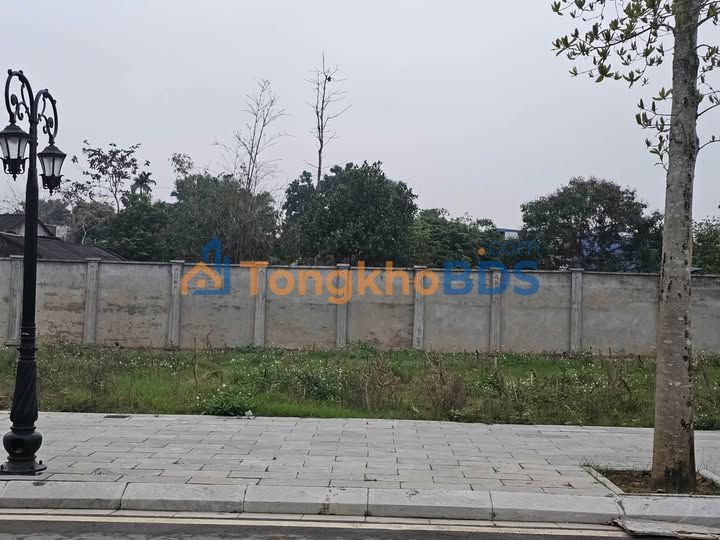 Nhà Mặt Tiền Danko City 96m² - Kinh Doanh Cực Đỉnh, Giá 2.8 Tỷ