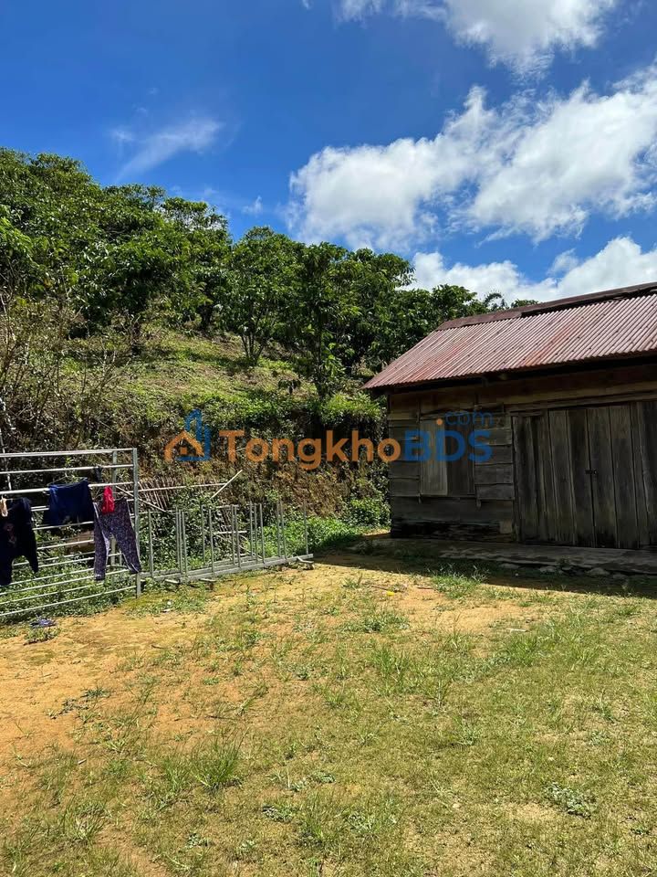 Đất nền Lộc Nga 1,7ha 410 triệu - Sổ đỏ chính chủ