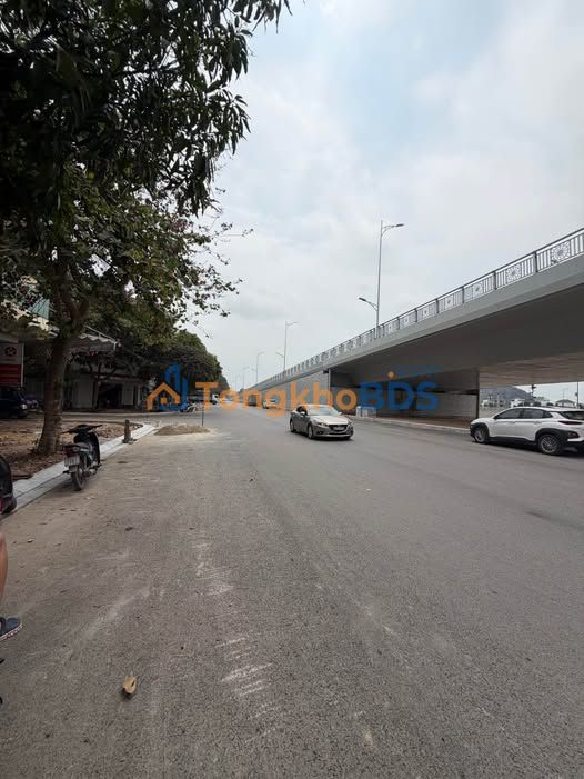 Đất Vàng Thanh Hóa - Mặt Tiền 39m Kéo Dài, Kinh Doanh Đắc Lộc