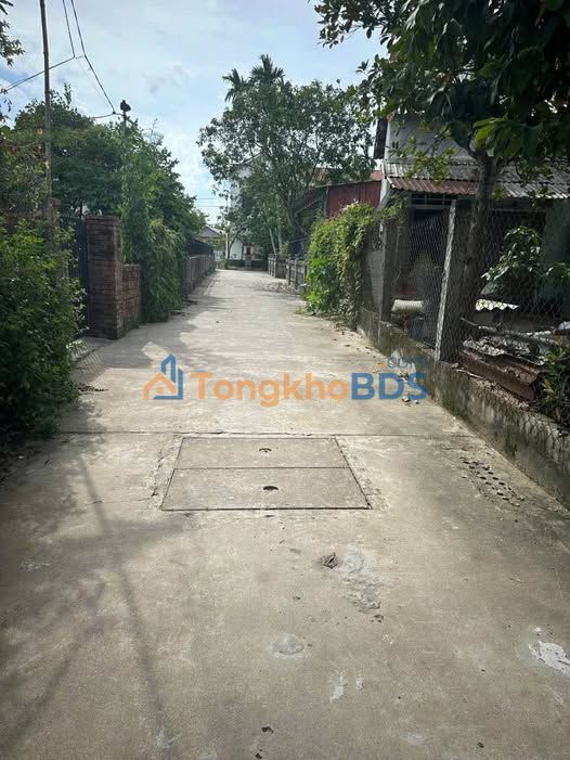 Đất Nền TP Huế 93m² Đường Ô Tô Giá 1.69 Tỷ - Sổ Đỏ Sẵn Sàng