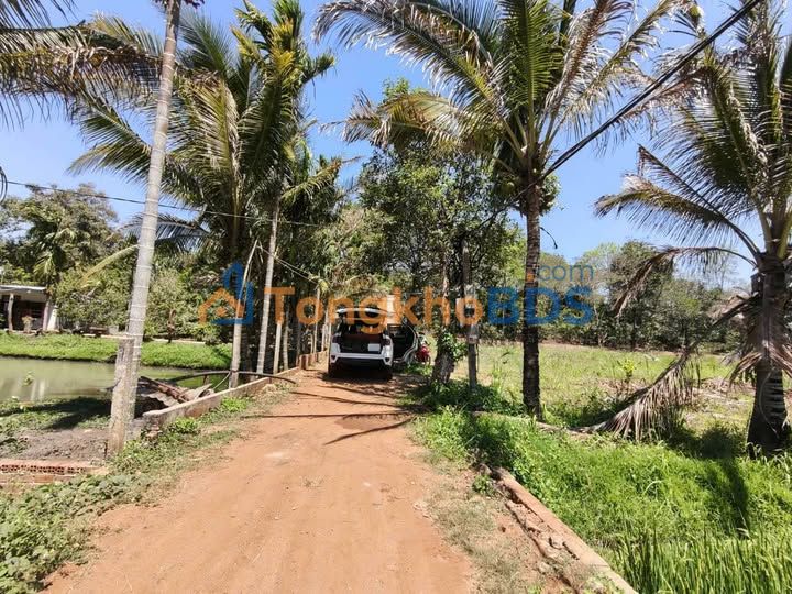 Đất Vườn Buôn Ma Thuột 2.8 Sào View Đồng Ruộng - Giá 2.55 Tỷ