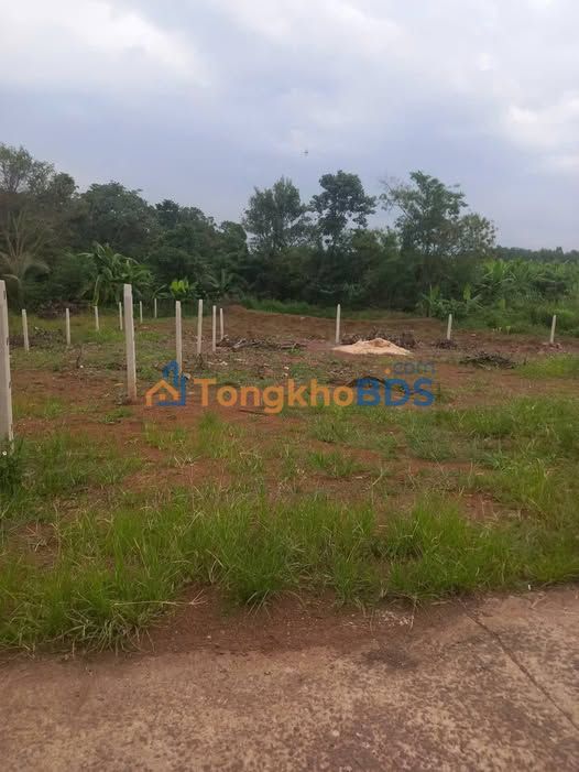 Đất nền Xuân Quế 700m² giá 700 triệu - Sổ đỏ chính chủ, đường bê tông ô tô vào tận nơi