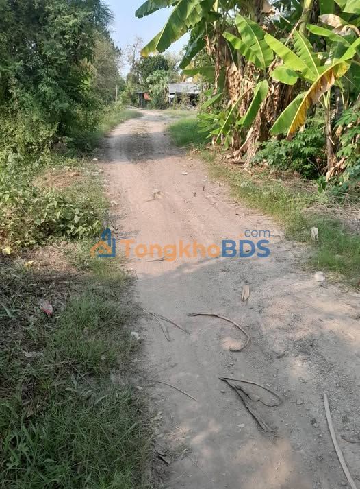 Đất nền Óc Eo 4.020m² 964.8 triệu - Tiềm năng tăng giá