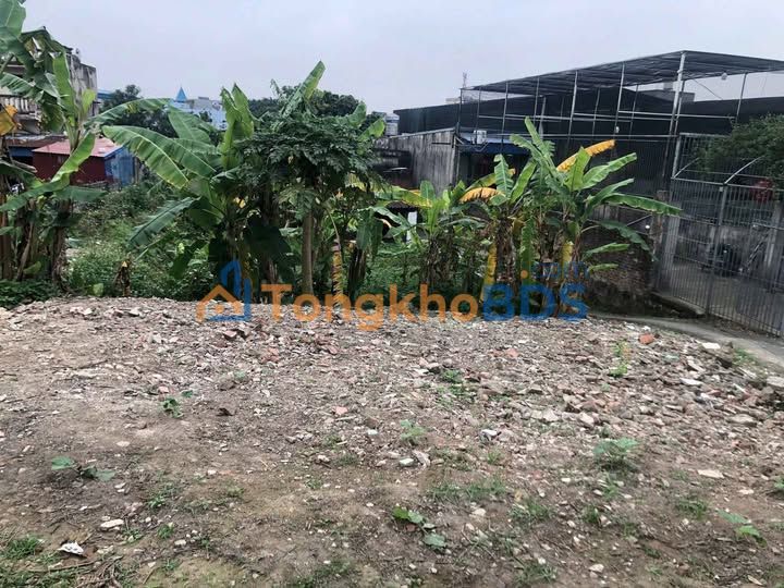 Đất nền Lạc Long Quân Nam Trực 500m² - Đường to ô tô