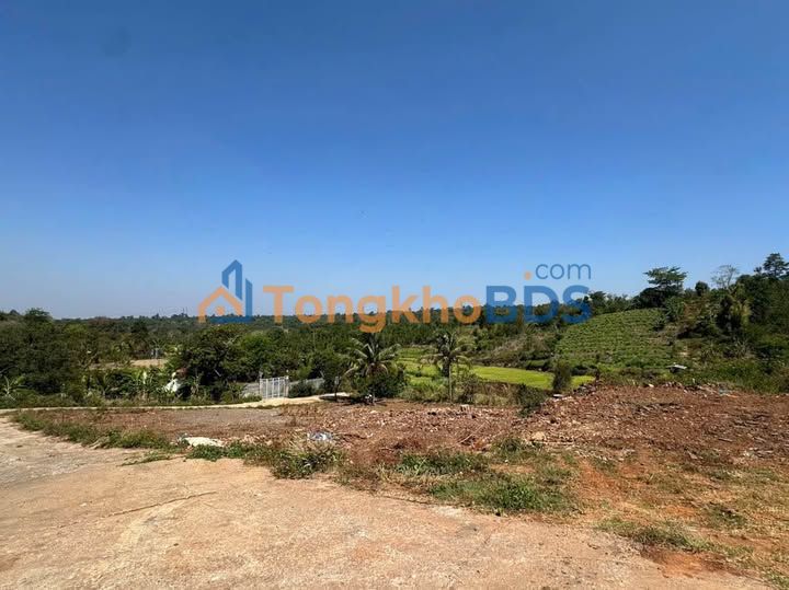 Đất Vườn Đắk Lắk 1000m² - Sổ Đỏ Chính Chủ, Giá 3.25 Tỷ