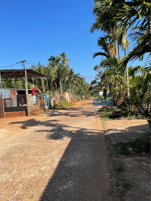 Đất nền 220m² Hòa Thắng, BMT - Giá tốt, ô tô vào tận nơi!