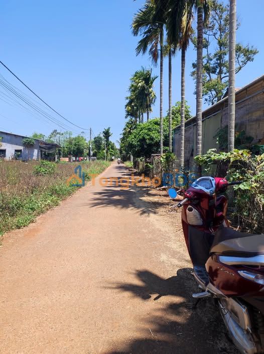 Đất nền Buôn Ma Thuột Hòa Thắng 240m² 2.34 tỷ - Đường to ô tô