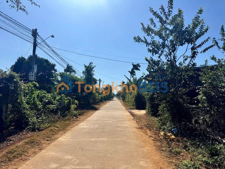 Đất nền Buôn Ma Thuột QL14 200m² 1 tỷ - Xây dựng tự do