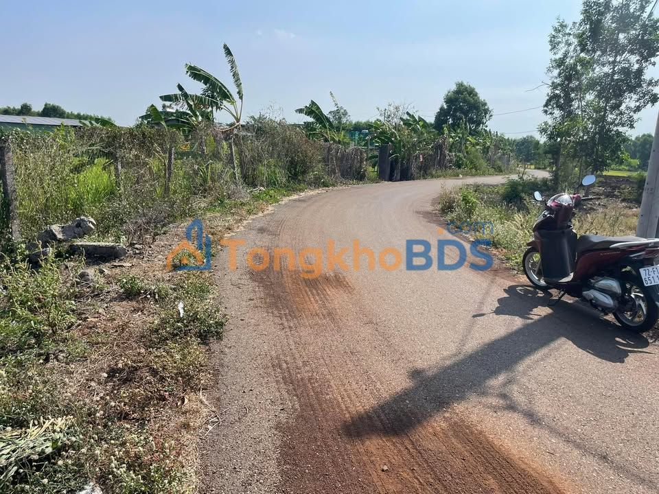 Bán Đất Vườn 10800m² Mặt Tiền 13m Đường Nhựa Xã Bình Trung, Châu Đức - 1.44 Tỷ