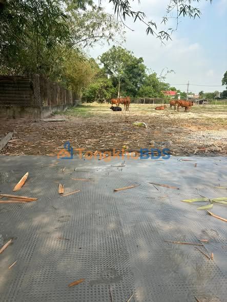 Bán đất nền 600m² Phường Trung Mỹ Tây, Q12 - Giá 1.3 tỷ, Mặt tiền đường bê tông