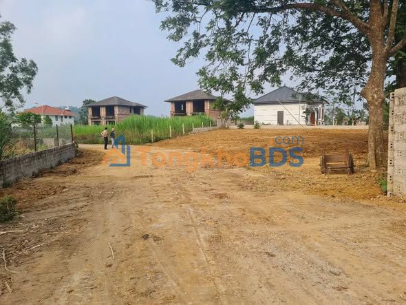 Đất vườn Yên Bài Ba Vì 800m² 6 tỷ - Nghỉ dưỡng lý tưởng