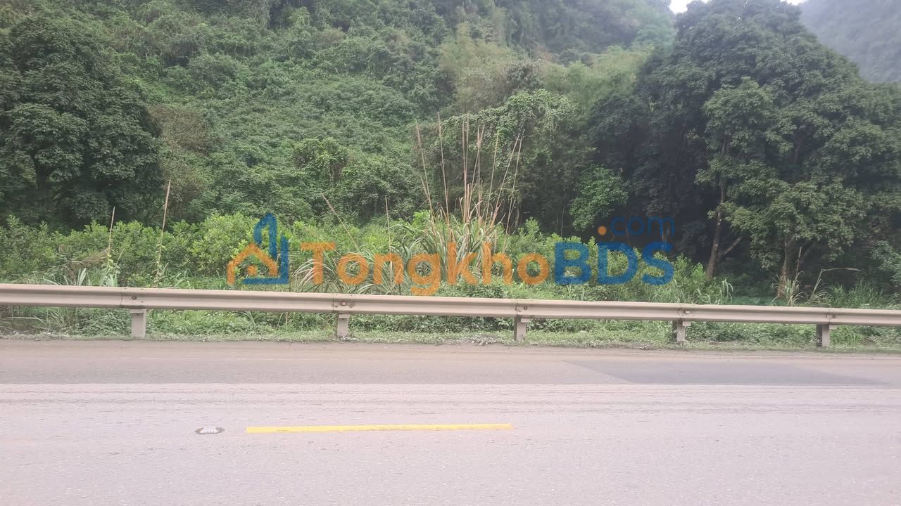 Đất nền QL21 Trung Sơn 2.700m² 8,x triệu/m - Đường to ô tô