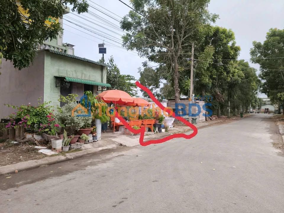 Đất nền Đường Số 12 Bến Lức 88m² 1.75 tỷ - Giá tốt hiếm có