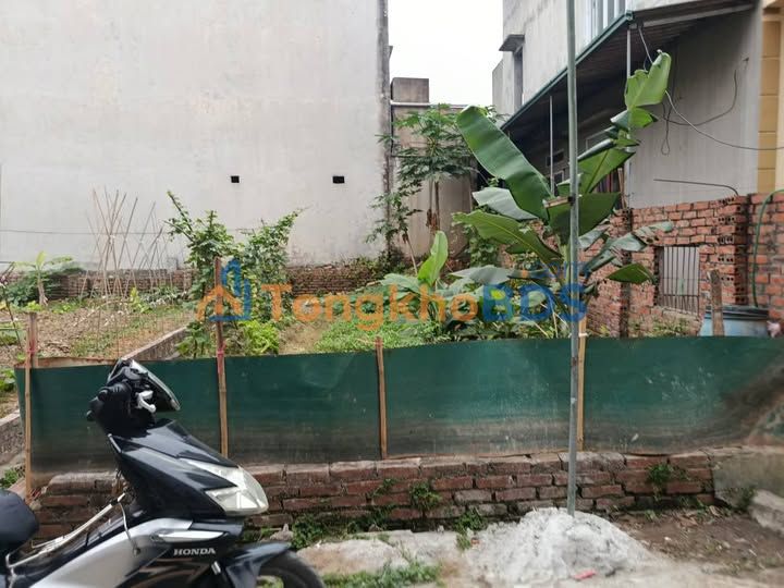 Đất nền Ninh Xá, Thuận Thành: 70m² trục chính, ô tô tải đỗ cửa - 2.6 tỷ