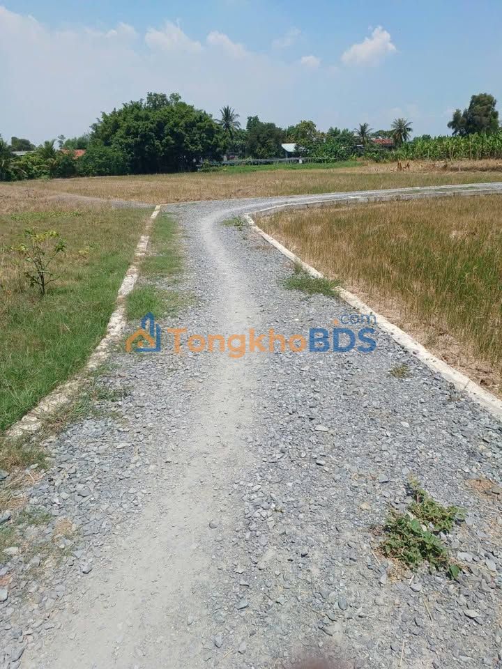 Nhà 300m² Hưng Long, Bình Chánh - Sổ Hồng Riêng, Giá 4.5 Tỷ