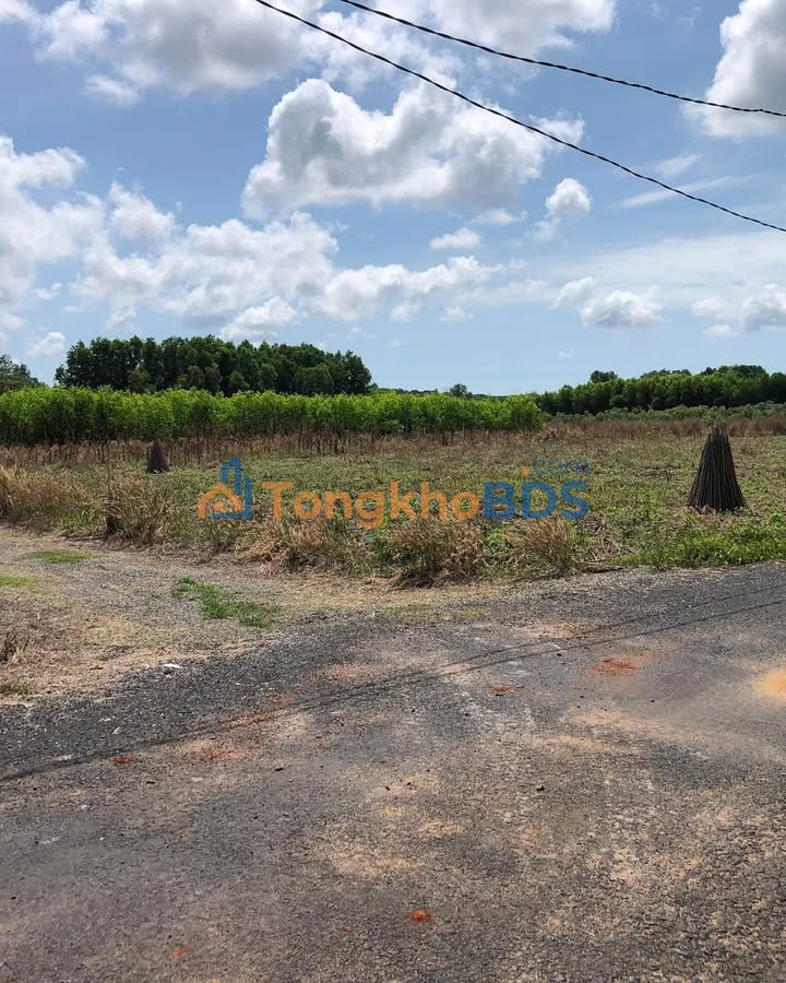 Đất nền 1000m² Sổ Riêng MT đường nhựa Hồ Tràm - Giá 800 triệu