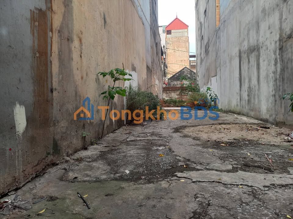 Đất mặt phố Hoa Lâm Long Biên 103m² 24.72 tỷ - Pháp lý rõ ràng