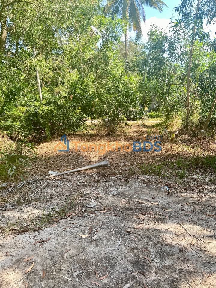 Đất Long Đức Vĩnh Long 189m² 320 triệu - Pháp lý rõ ràng