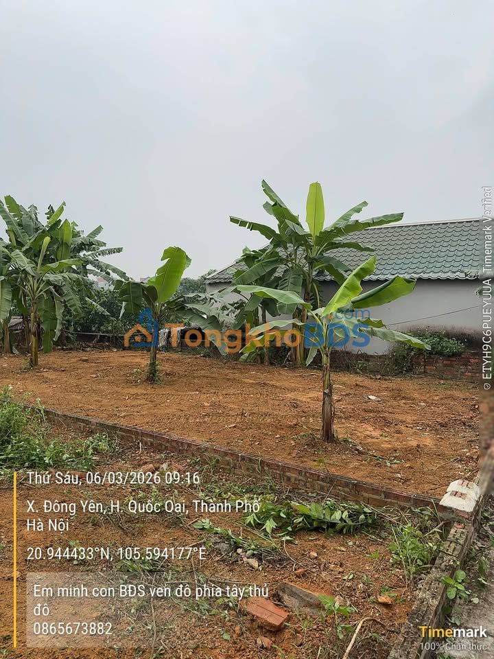 Đất nền Phú Cát Quốc Oai 116m²/1 tỷ - Chính chủ bán gấp