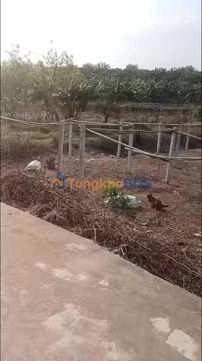 Đất vườn Phúc Kiến Tân Lập 11.802m² 3,25 tỷ - Chính chủ bán gấp